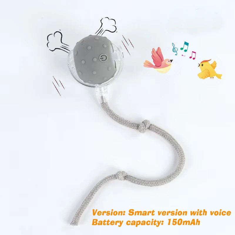 Automatic Rolling Dog Ball