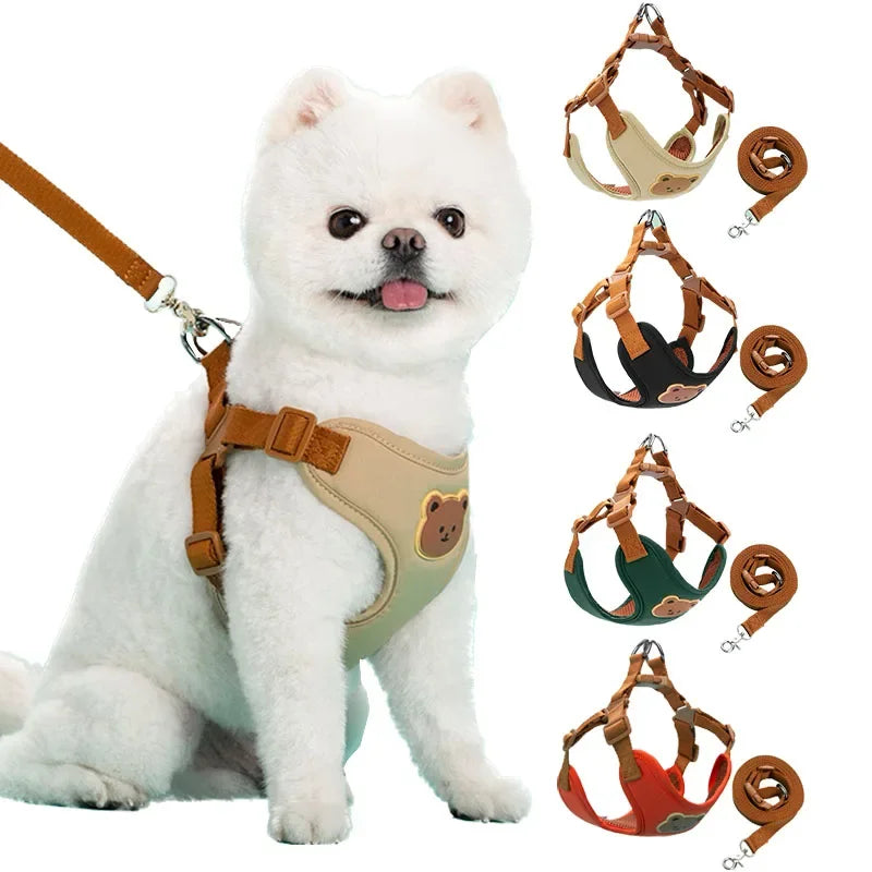 Harness Leash