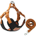 Harness Leash