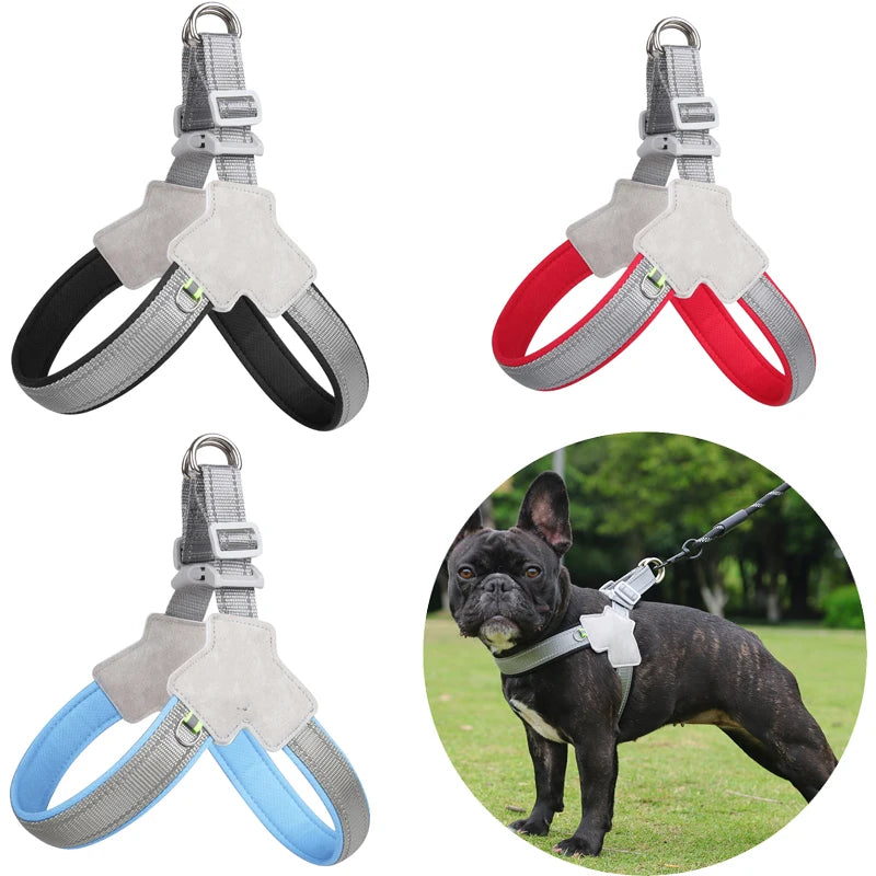 Dog Harness