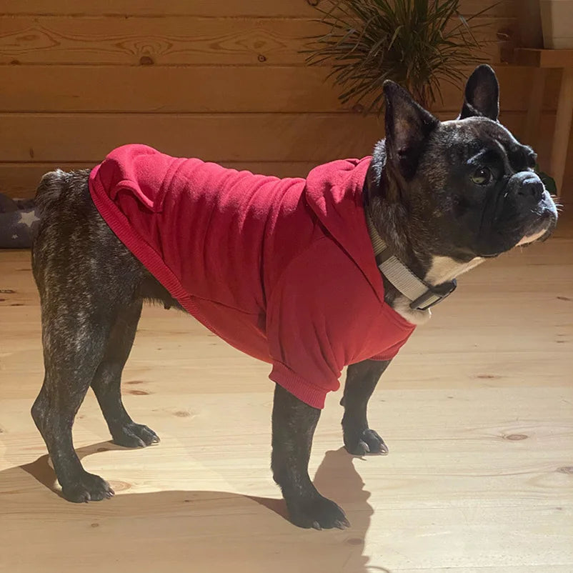 Dog Hoodie