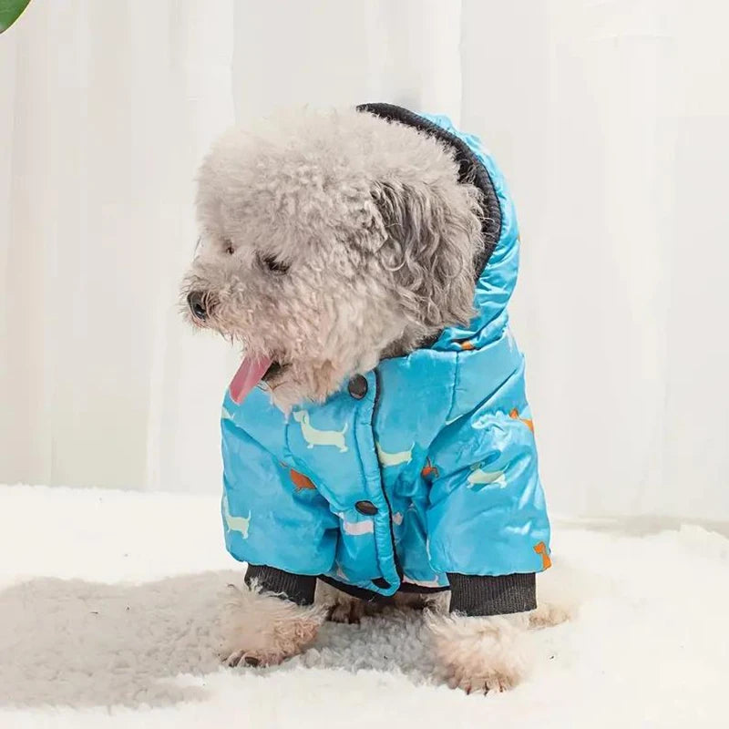 HDOG Jacket