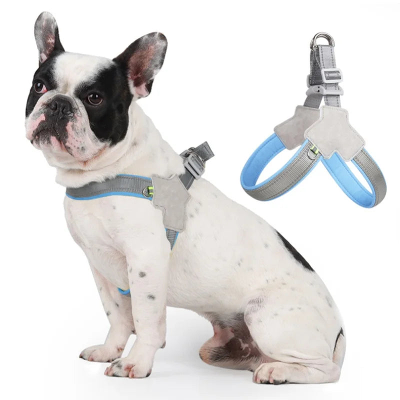 Dog Harness