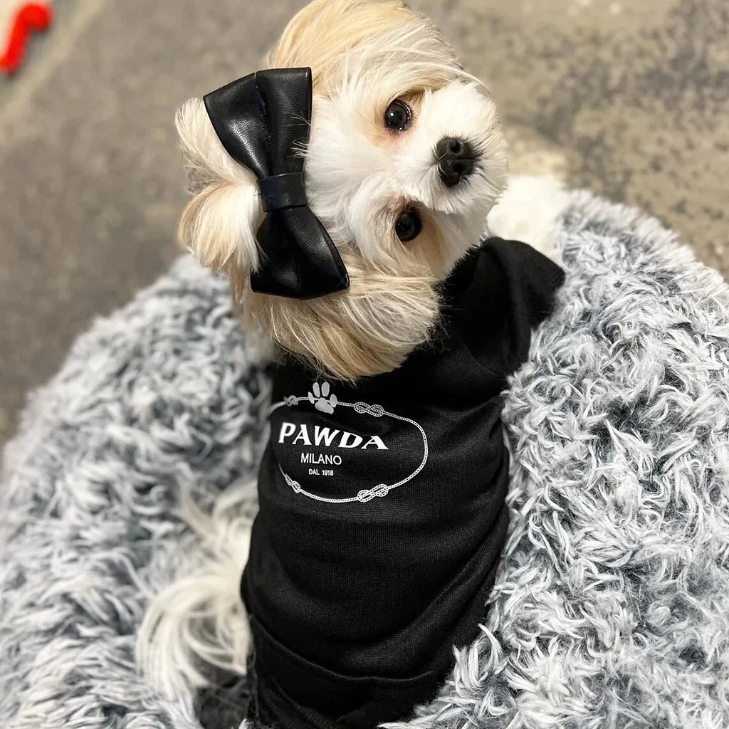 Pawda Hoodie