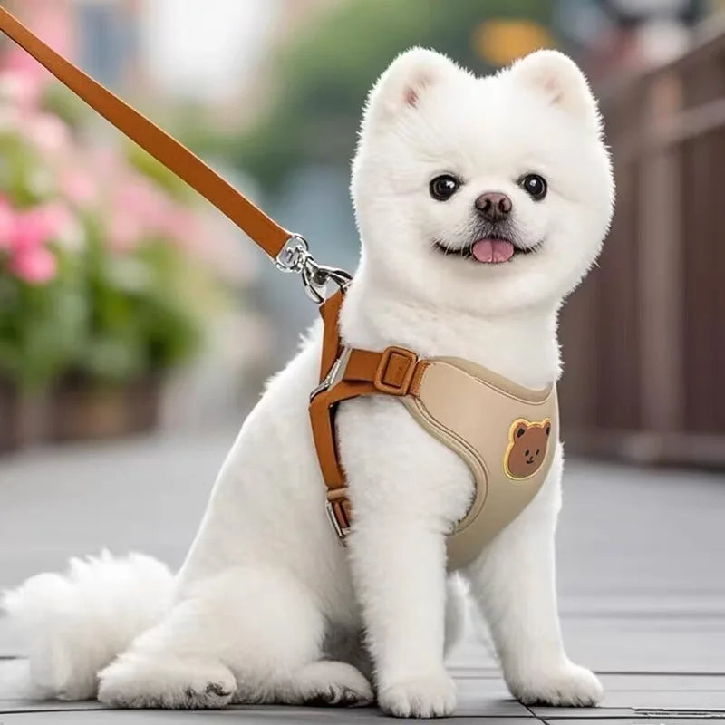 Harness Leash