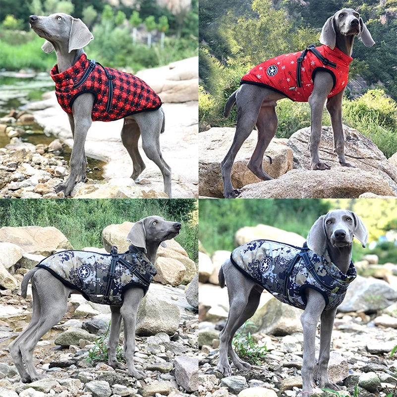 Jacket Waterproof  With Harness