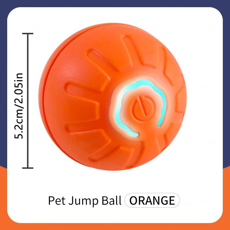 Smart Dog Toy Ball