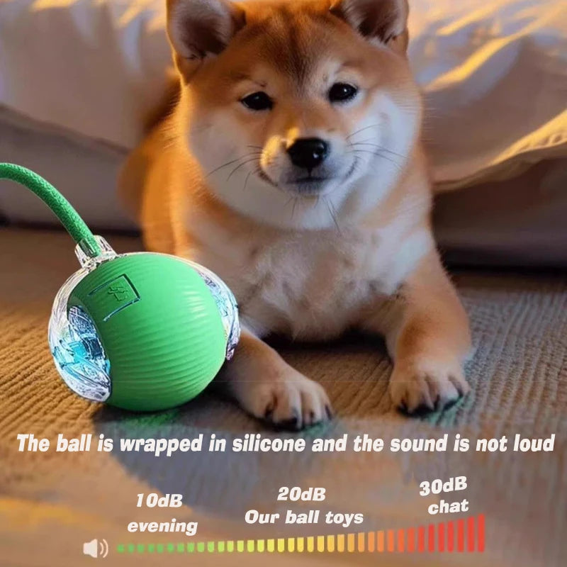 Automatic Rolling Dog Ball