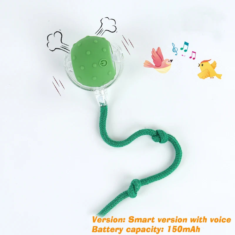 Automatic Rolling Dog Ball